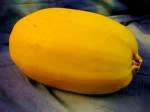 Spaghetti-Squash Whole